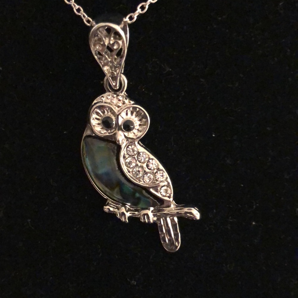 Owl 🦉 Necklace/Pendant.